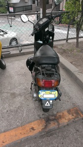 IMAG0036.jpg