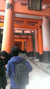 IMAG0453a.jpg