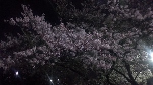 IMAG0525.jpg