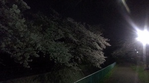 IMAG0531.jpg