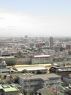 060808_1435~01.jpg
